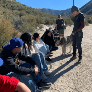 Students Meeting a Wolf at Wolf Connection